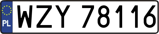 WZY78116