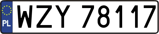 WZY78117
