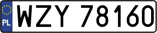 WZY78160
