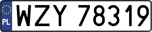 WZY78319