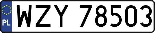 WZY78503