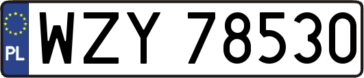 WZY78530