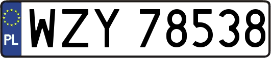 WZY78538