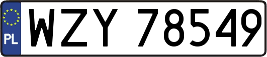 WZY78549