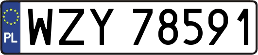 WZY78591