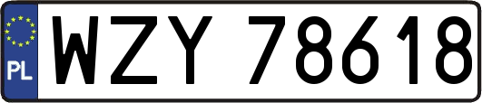WZY78618