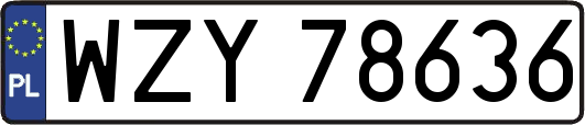 WZY78636