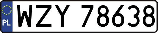 WZY78638