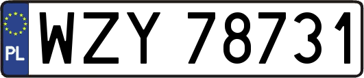 WZY78731