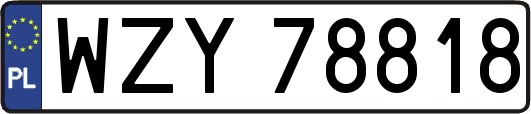 WZY78818