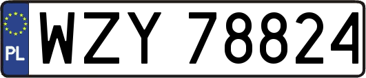 WZY78824