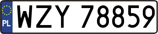 WZY78859