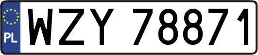 WZY78871