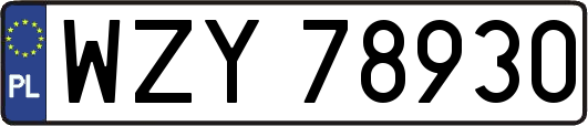 WZY78930