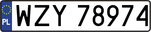 WZY78974