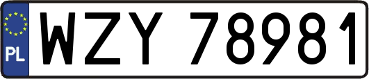 WZY78981