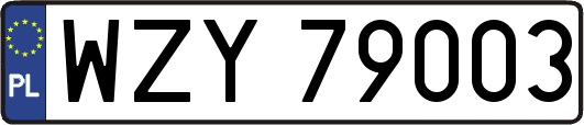 WZY79003