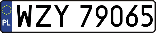 WZY79065