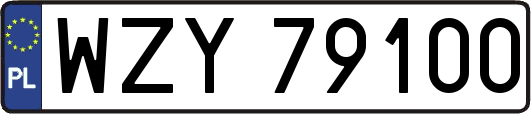 WZY79100