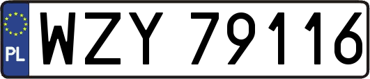 WZY79116