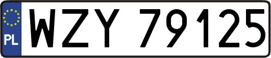 WZY79125