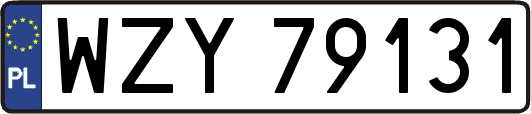 WZY79131