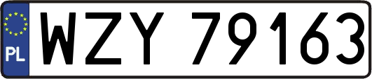 WZY79163
