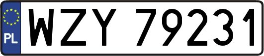 WZY79231