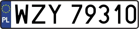 WZY79310