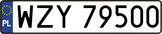WZY79500