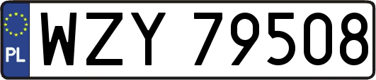 WZY79508