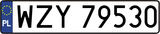 WZY79530
