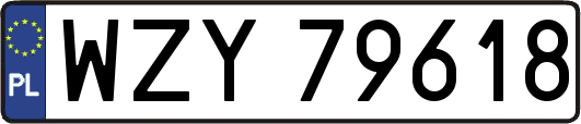 WZY79618