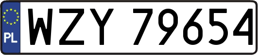 WZY79654