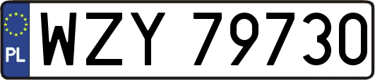 WZY79730