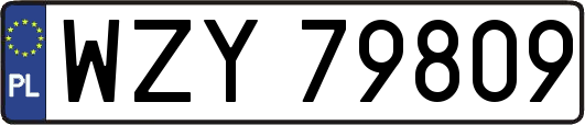 WZY79809