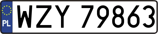 WZY79863