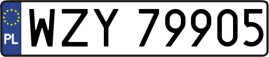WZY79905