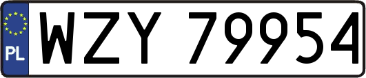 WZY79954