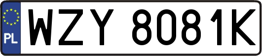 WZY8081K