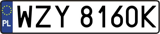 WZY8160K
