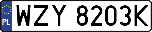 WZY8203K