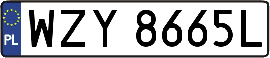 WZY8665L