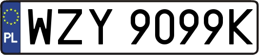 WZY9099K