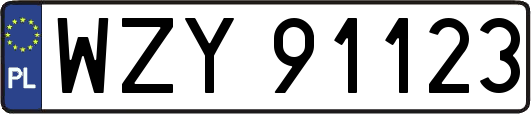 WZY91123