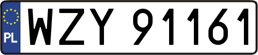 WZY91161