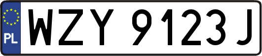 WZY9123J