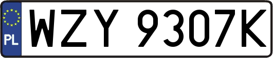 WZY9307K