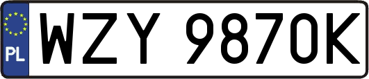 WZY9870K