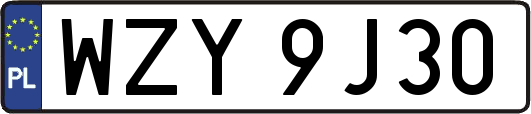 WZY9J30